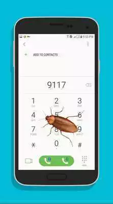 Play Cockroach Screen (Prank)
