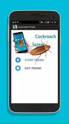 Play Cockroach Screen (Prank)