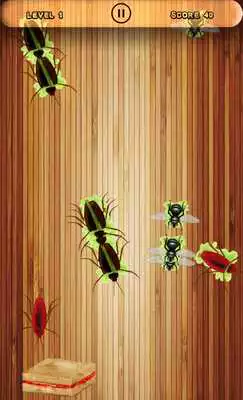 Play Cockroach Smasher Game