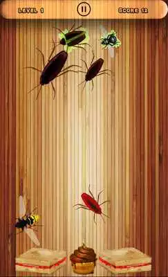 Play Cockroach Smasher Game