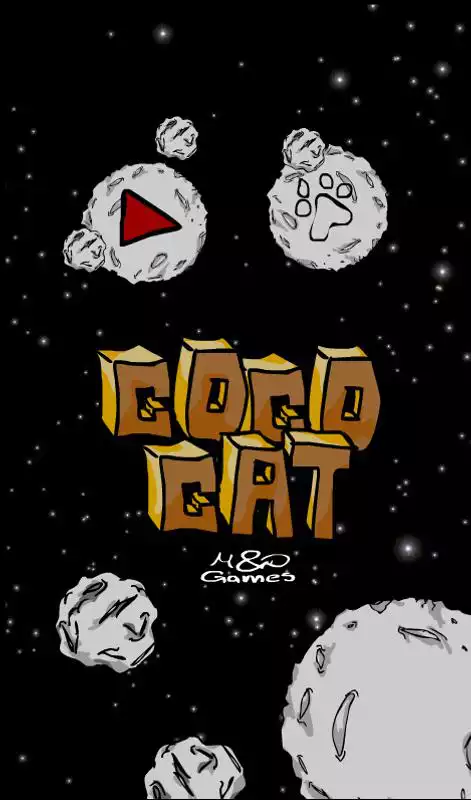 Play Coco Cat