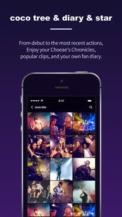 Play cocotree as an online game cocotree with UptoPlay