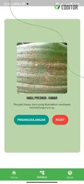 Play Coditor: Corn Disease Detector as an online game Coditor: Corn Disease Detector with UptoPlay