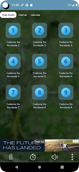 Play Codorna do Nordeste as an online game Codorna do Nordeste with UptoPlay
