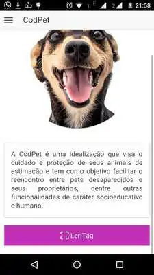 Play CodPet Play CodPet