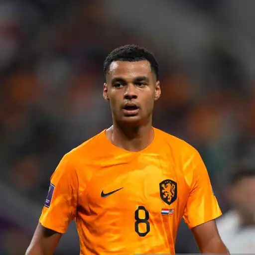 Play Cody Gakpo 4K Wallpaper APK