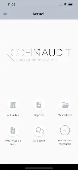Play COFINAUDIT as an online game COFINAUDIT with UptoPlay