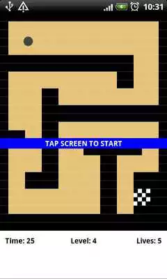 Play Cogiloo Labyrinth