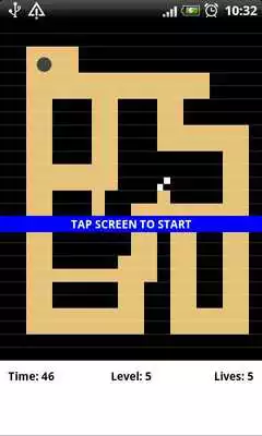 Play Cogiloo Labyrinth