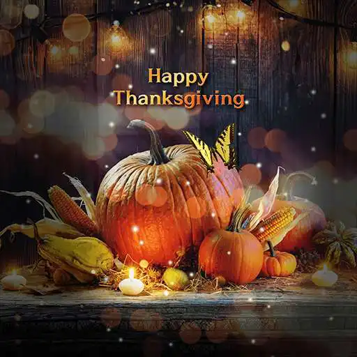 Play COGUL HD/4K Wallpaper - Pumpkin And Thanksgiving APK