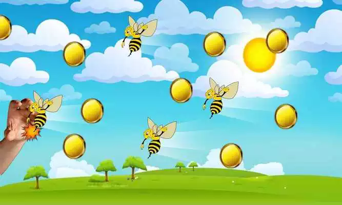 Play Coin Collector