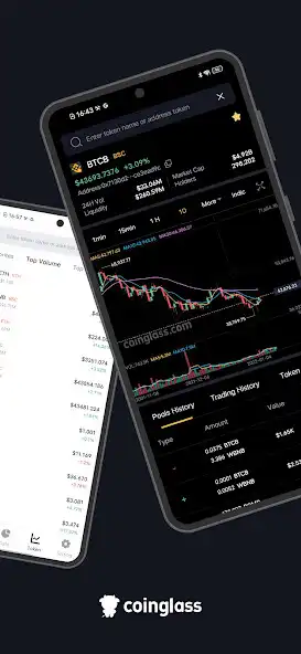Play Coinglass - Crypto Data App as an online game Coinglass - Crypto Data App with UptoPlay
