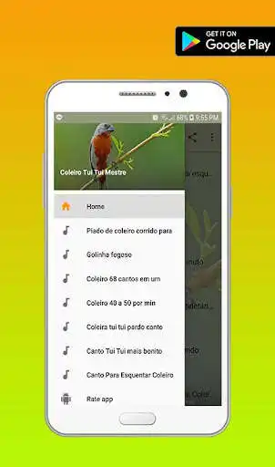 Play APK Coleiro Tui Tui Mestre  and enjoy Coleiro Tui Tui Mestre with UptoPlay 