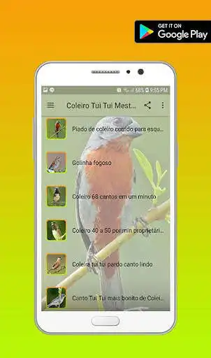 Play APK Coleiro Tui Tui Mestre  and enjoy Coleiro Tui Tui Mestre with UptoPlay 