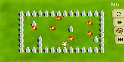 Play Colibri (Hummingbird) as an online game Colibri (Hummingbird) with UptoPlay