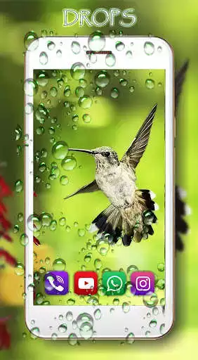 Play Colibri LWP as an online game Colibri LWP with UptoPlay