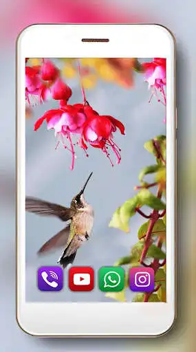 Play Colibry Hummingbird Cute  and enjoy Colibry Hummingbird Cute with UptoPlay