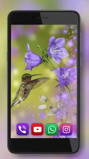 Play Colibry Hummingbird Cute as an online game Colibry Hummingbird Cute with UptoPlay