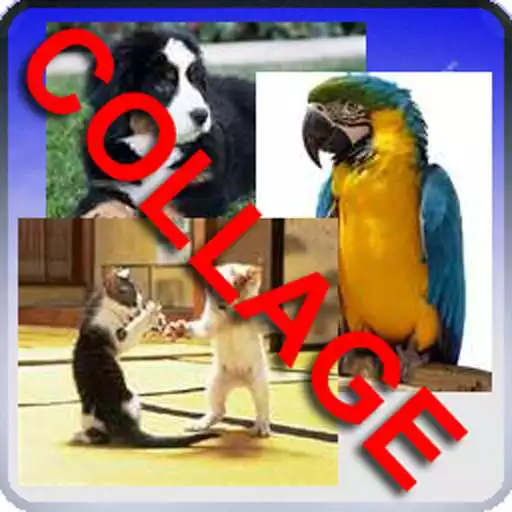 Free play online Collage Widget APK