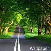 Free play online Collection Scenery Wallpapers APK Free play online Collection Scenery Wallpapers APK