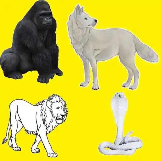 Play CollectiveNamesOfAnimals APK