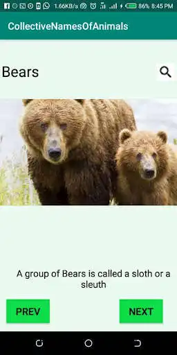 Play CollectiveNamesOfAnimals as an online game CollectiveNamesOfAnimals with UptoPlay