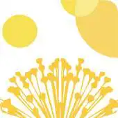 Free play online College Safety Study APK