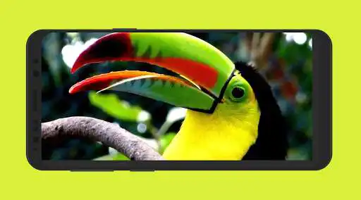 Play Colombia TV HD & Radio  and enjoy Colombia TV HD & Radio with UptoPlay