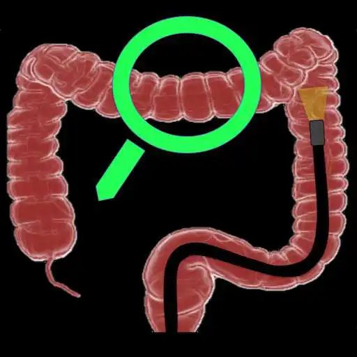 Play Colon APP APK
