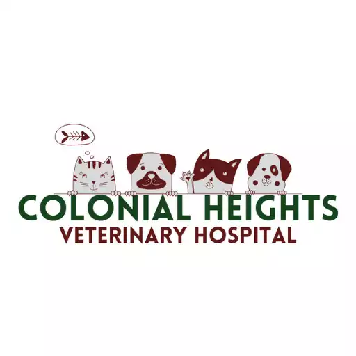 Play Colonial Heights Vet Hospital APK