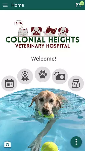 Play Colonial Heights Vet Hospital  and enjoy Colonial Heights Vet Hospital with UptoPlay