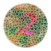 Free play online Color Blind Test - Eye Vision APK
