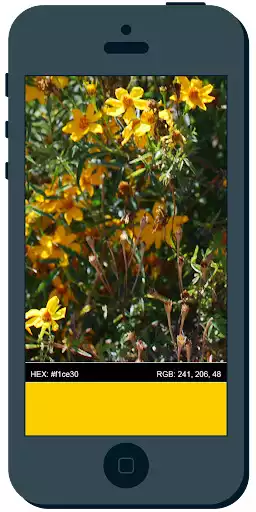 Play Color Catch as an online game Color Catch with UptoPlay