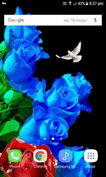 Play Color Changing Roses LWP as an online game Color Changing Roses LWP with UptoPlay