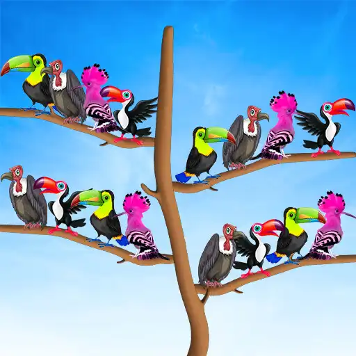 Play Colored Bird Sort Puzzle APK