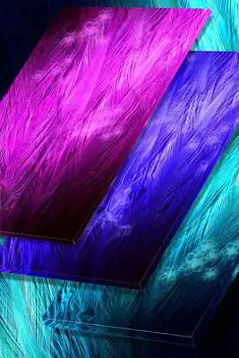 Play Colored Feather Lux Live Wallpaper Play Colored Feather Lux Live Wallpaper