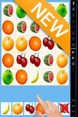 Play Color Fruit Frenzy