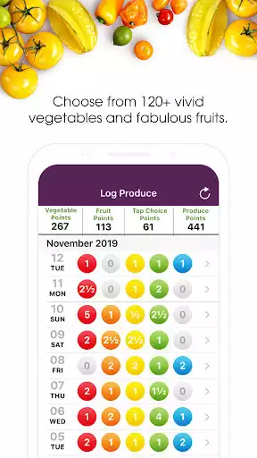 Play Colorful Choices