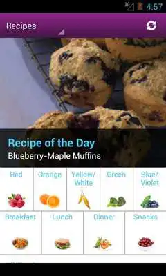 Play Colorful Choices