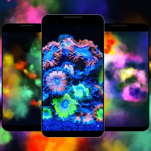 Play Colorful HD Wallpapers APK Play Colorful HD Wallpapers APK