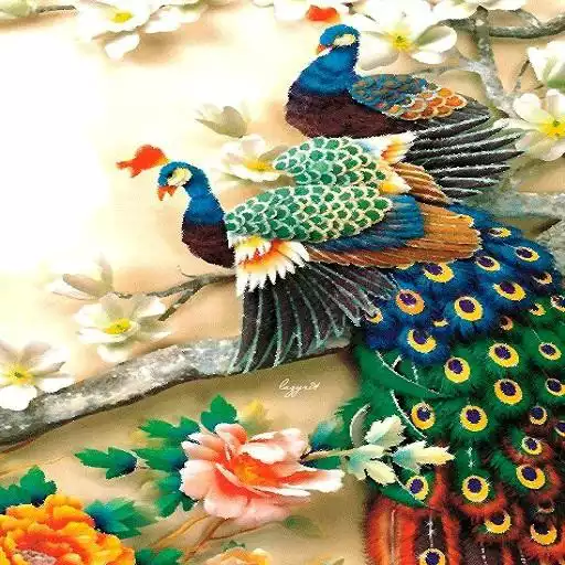 Play ColorFul Peacock LiveWallpaper APK Play ColorFul Peacock LiveWallpaper APK