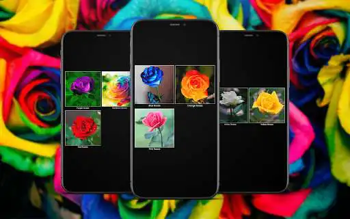 Play Colorful Roses Wallpapers and enjoy Colorful Roses Wallpapers with UptoPlay Play Colorful Roses Wallpapers and enjoy Colorful Roses Wallpapers with UptoPlay