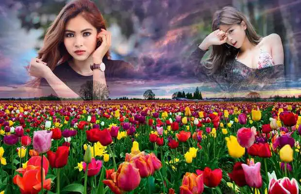Play Colorful Tulips Photo Frames