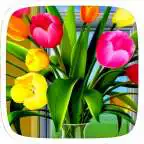 Free play online Colorful Tulip. Theme for CM Launcher  APK