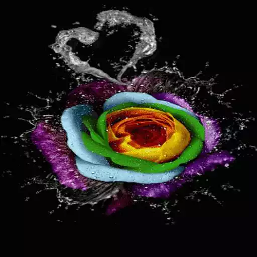 Play Colorful Watery Rose LWP APK Play Colorful Watery Rose LWP APK