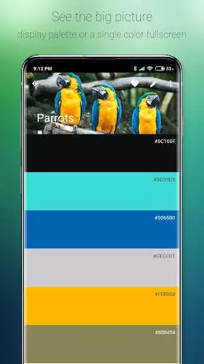 Play Color Harmony Play Color Harmony