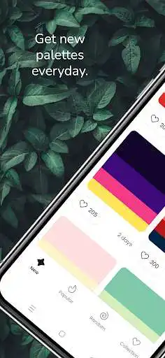 Play Color Hunt - Color Palettes for Designers  and enjoy Color Hunt - Color Palettes for Designers with UptoPlay
