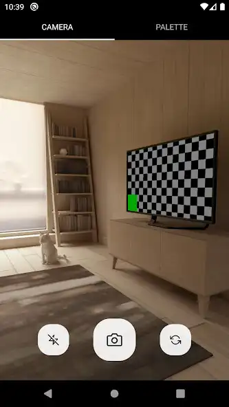Play Color Hunter