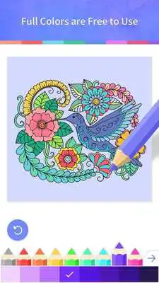 Play Coloring Book Adults  Kids