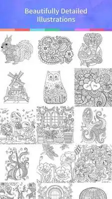 Play Coloring Book Adults  Kids